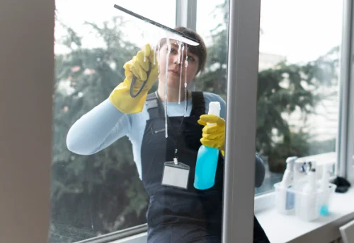 Nettoyage de vitres intérieures et extérieures à Vals-des-Tilles